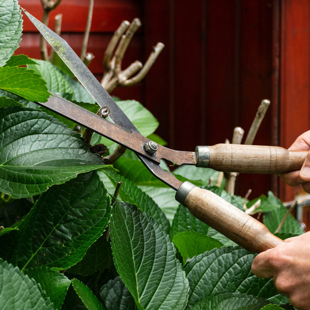 Garden Tools >9" & Axe